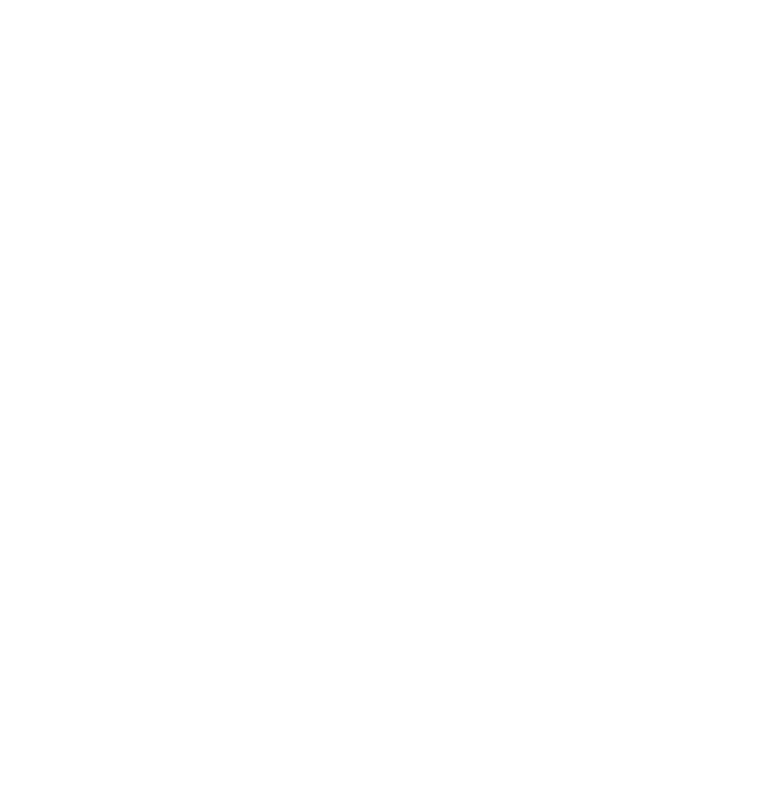 SMZH Icon - White